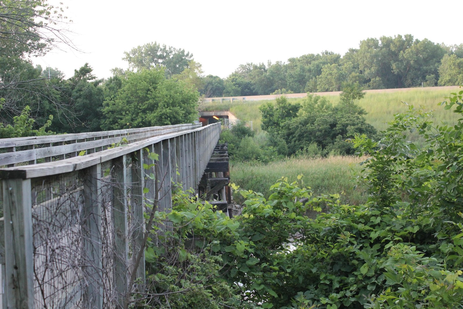 Looking south